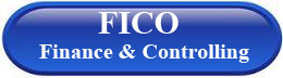 ERP FICO Finance & Controlling